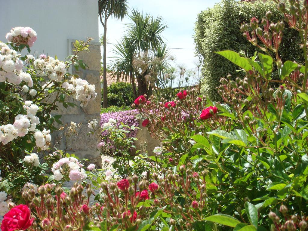 Casa De Hospedes Flor Do Jardim Malveira Eksteriør bilde